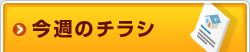 ���T�̃`���V