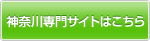 �_�ސ���T�C�g�͂�����