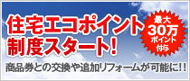 �Z��G�R�|�C���g���x�A���悢��X�^�[�g�I