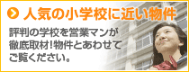 �l�C�̏��w�Z���߂����������Љ�܂�