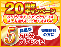 ���r���O���C�t20���N�L�����y�[��5���~�����i���v���[���g
