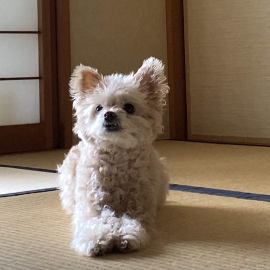 .秋元　渚 . あきもと なぎさ.