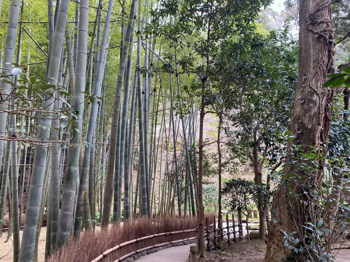 .石川　崚太 . いしかわ りょうた.