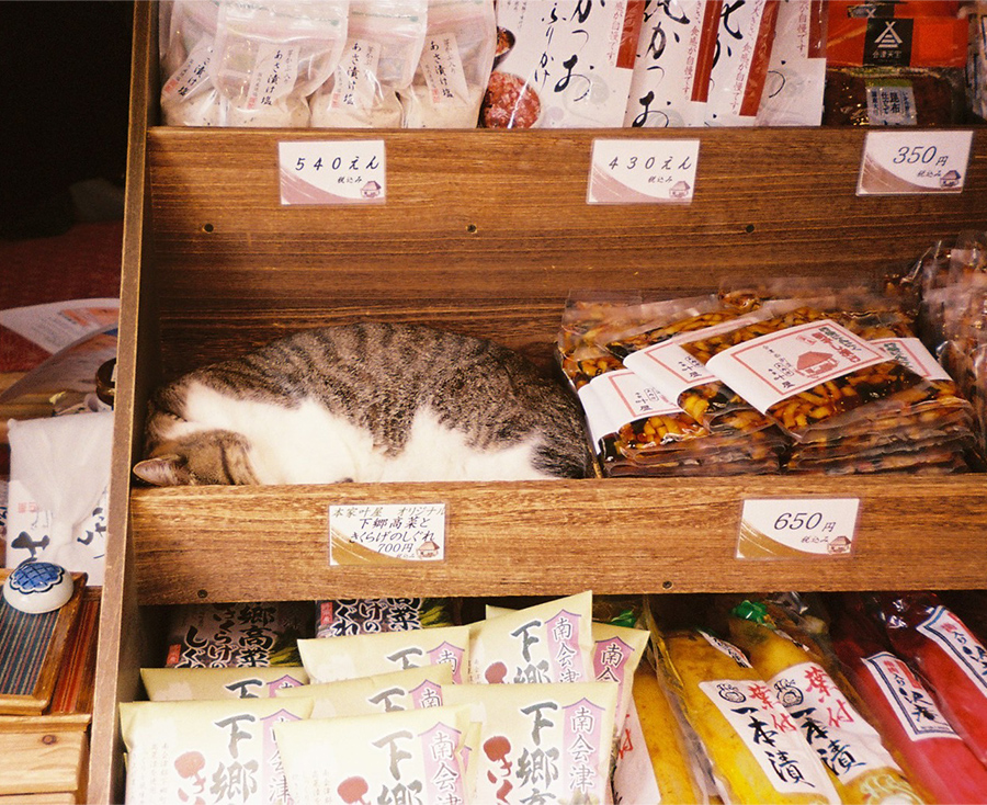 .大貫　文乃 . おおぬき あやの.
