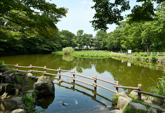 菊名池公園