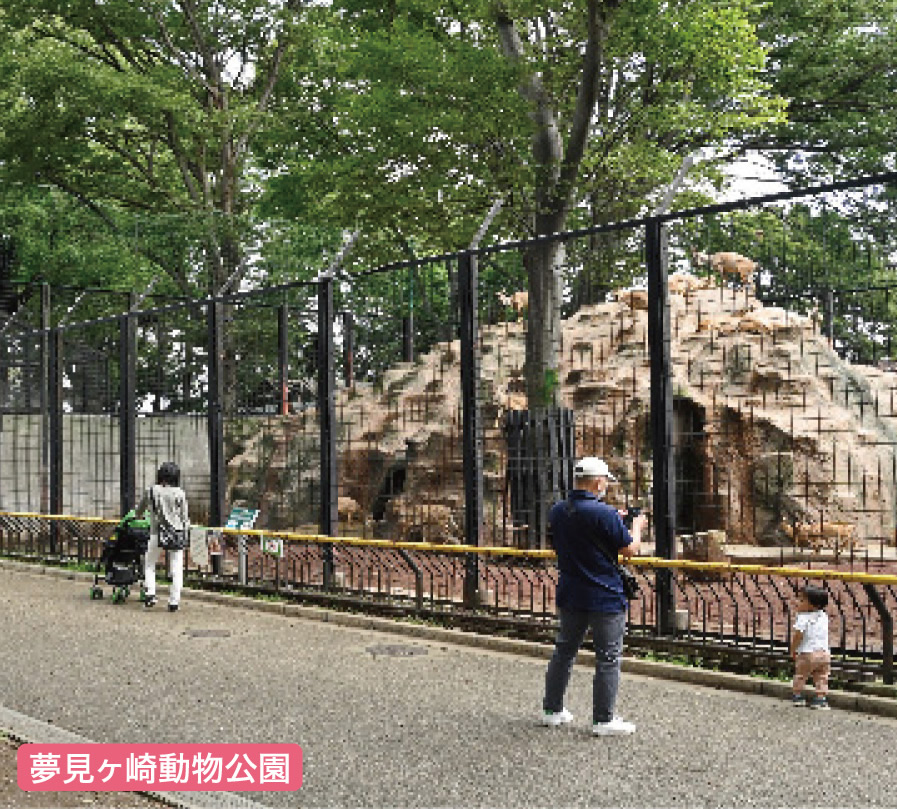 夢見ヶ崎動物公園