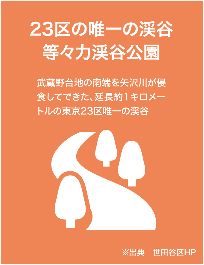 23区の唯一の渓谷等々力渓谷公園