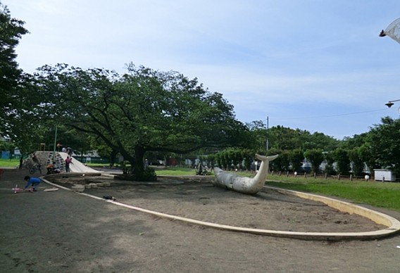 稲田公園