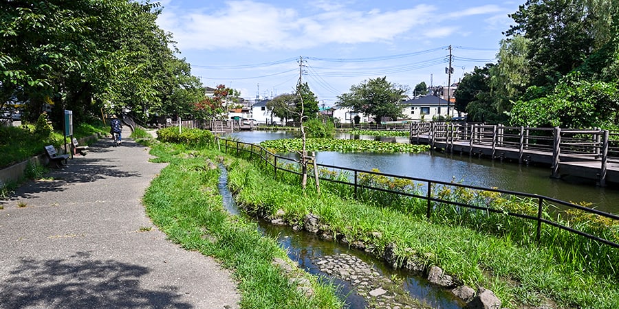 白幡池公園