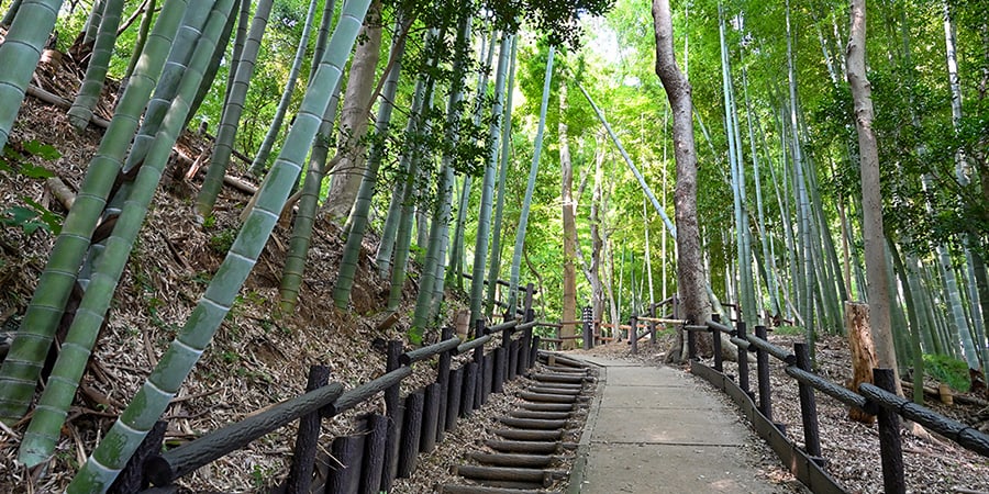 小机城址市民の森