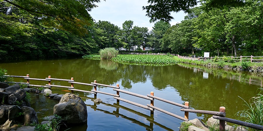 菊名池公園