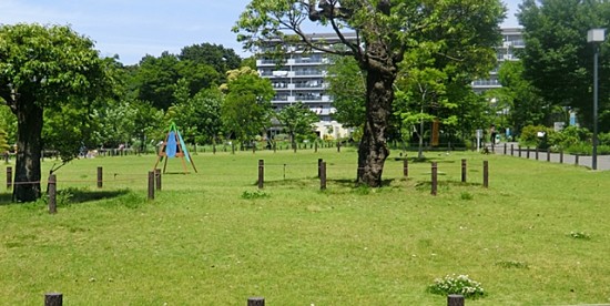 中目黒公園