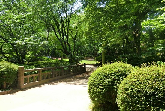 駒場野公園