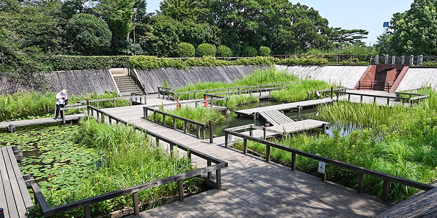 多摩川台公園