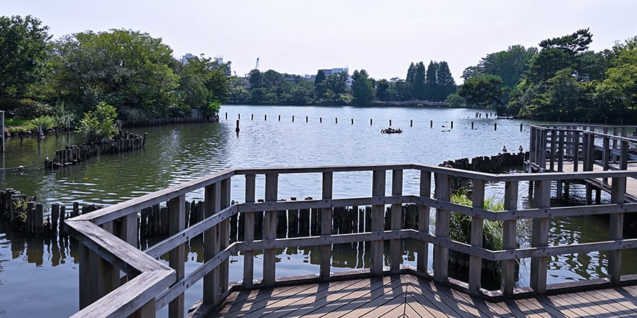 洗足池公園