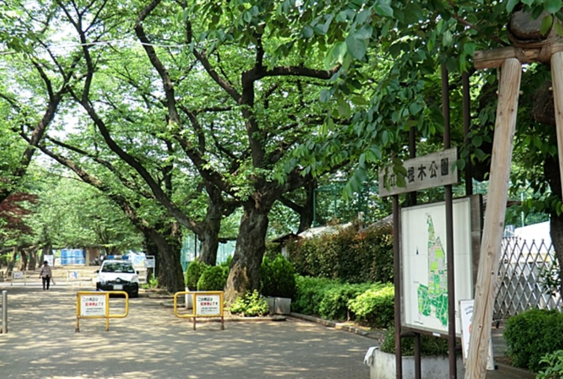 羽根木公園