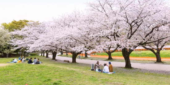 大井ふ頭中央海浜公園