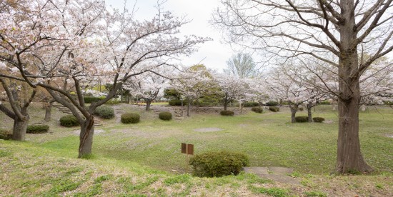 舞岡公園