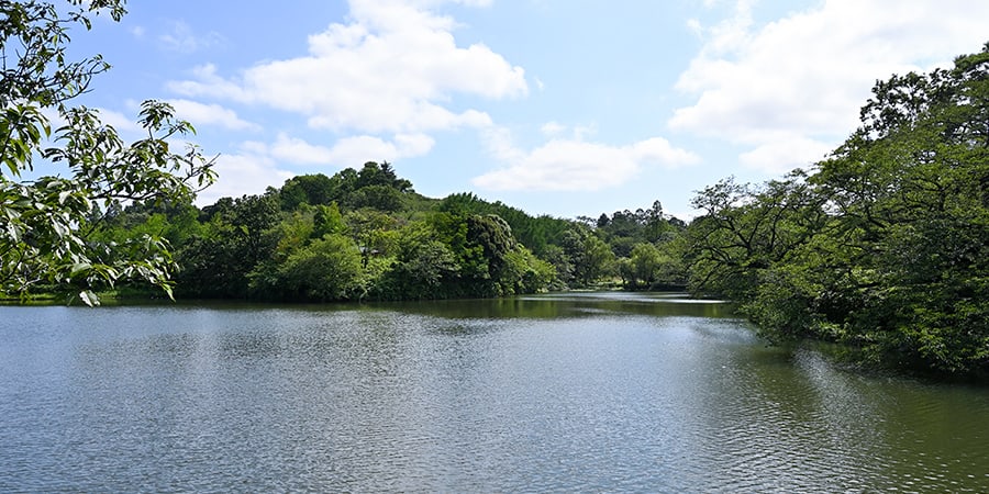 三ツ池公園