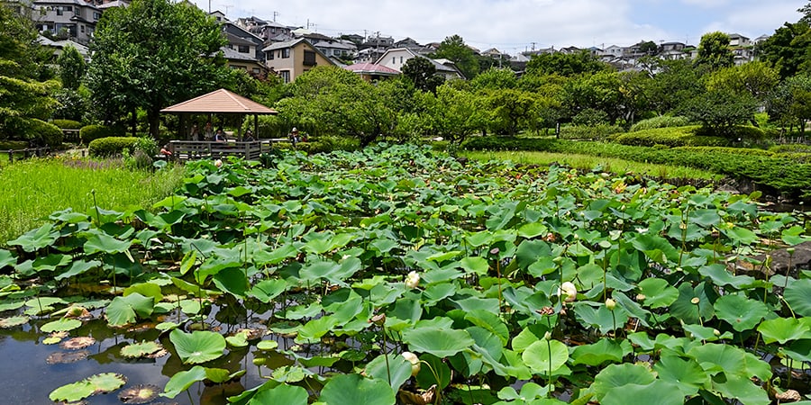 馬場花木園