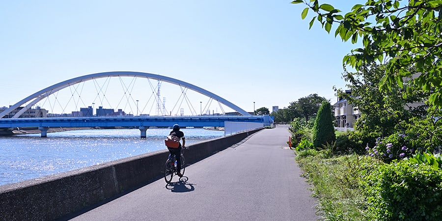 鶴見川遊歩道(鶴見川橋付近)