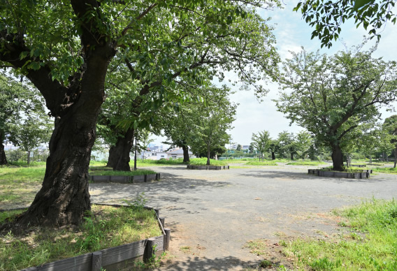 幸ケ谷公園