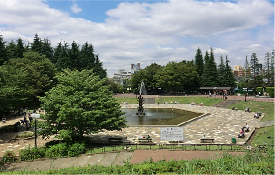 世田谷公園