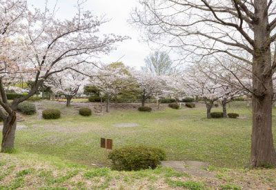 舞岡公園