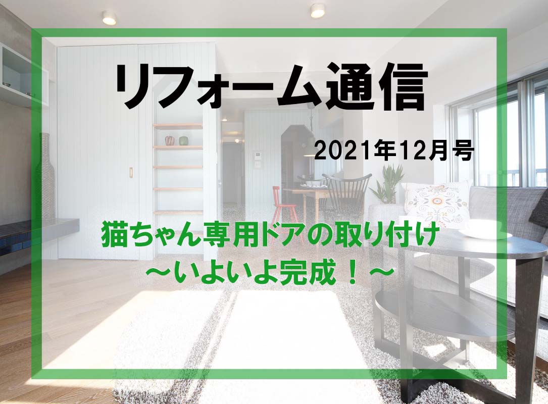 リフォーム通信2021年12月号　猫ちゃん専用ドアの取り付け　完成編