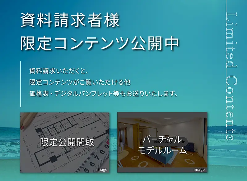 限定