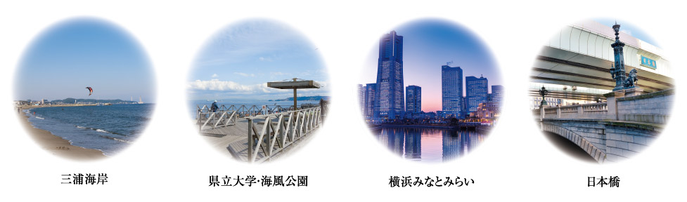 三浦海岸、県立大学・海風公園・横浜みなとみらい・日本橋