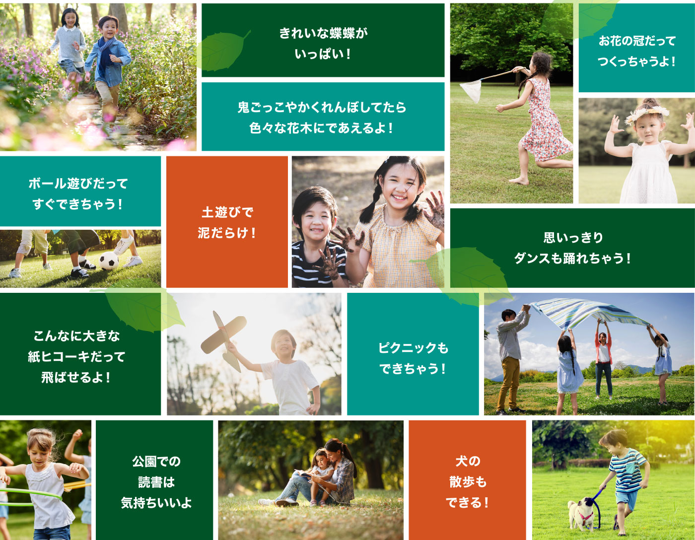 きれいな蝶蝶がいっぱい!