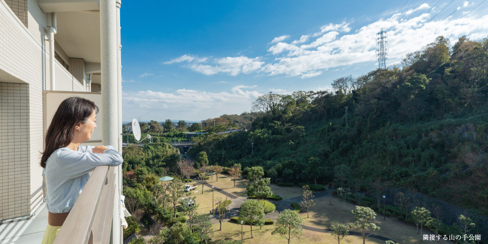 隣接する山の手公園