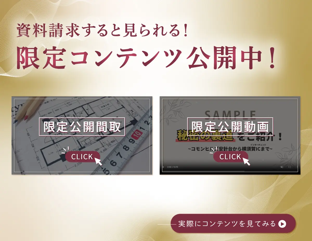 限定サイト