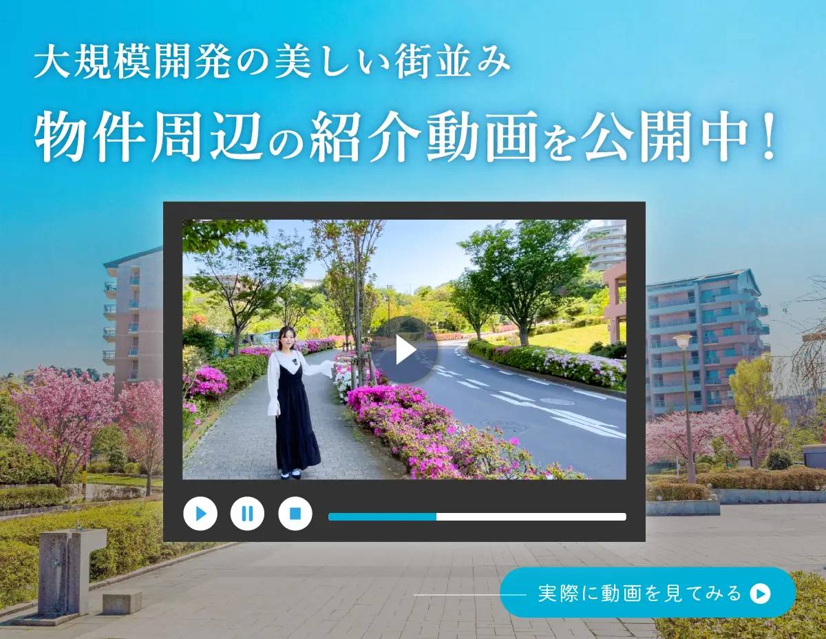 大規模分譲の美しい街並み