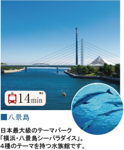 八景島電車14分