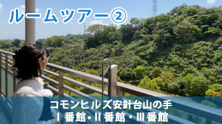 MNタイプ