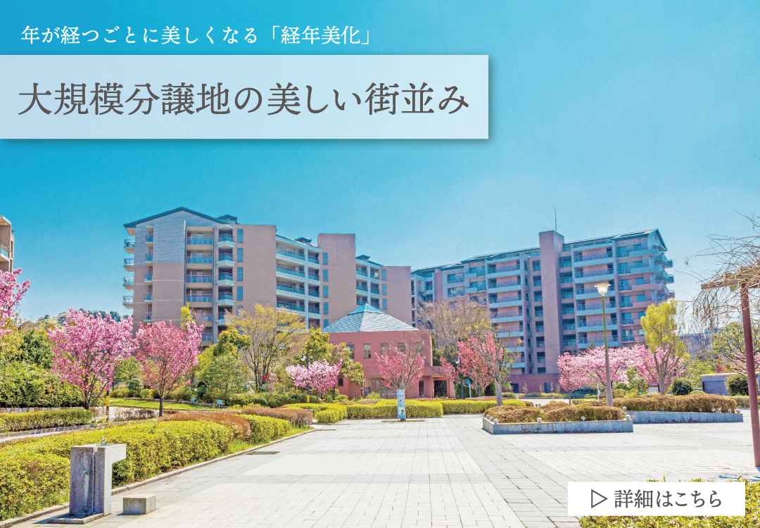 大規模分譲の美しい街並み