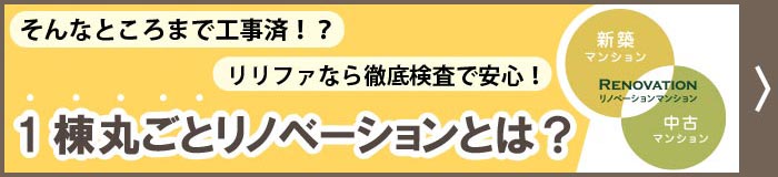 1棟まるごとリノベーション