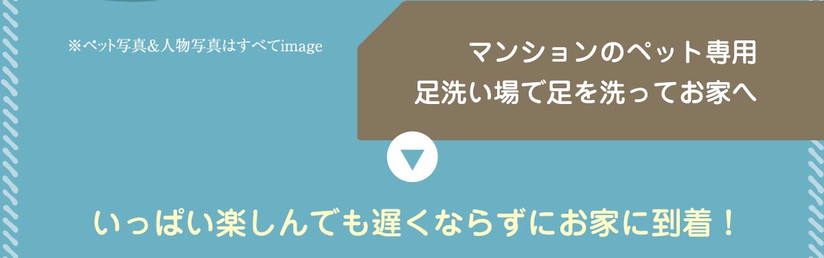 マンションのペット専用足洗い場で足を洗ってお家へ