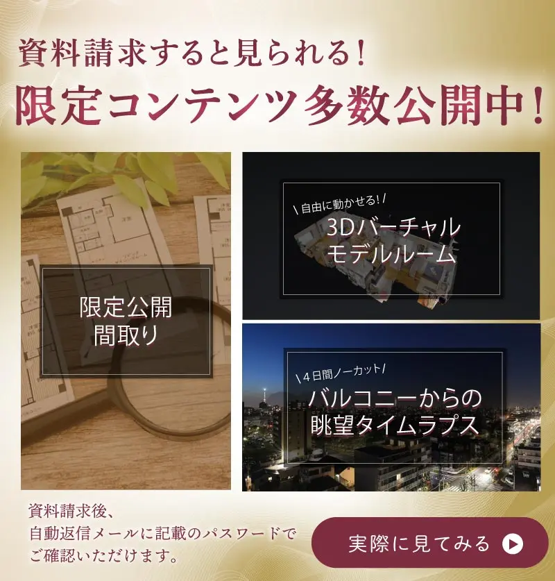 限定ページ