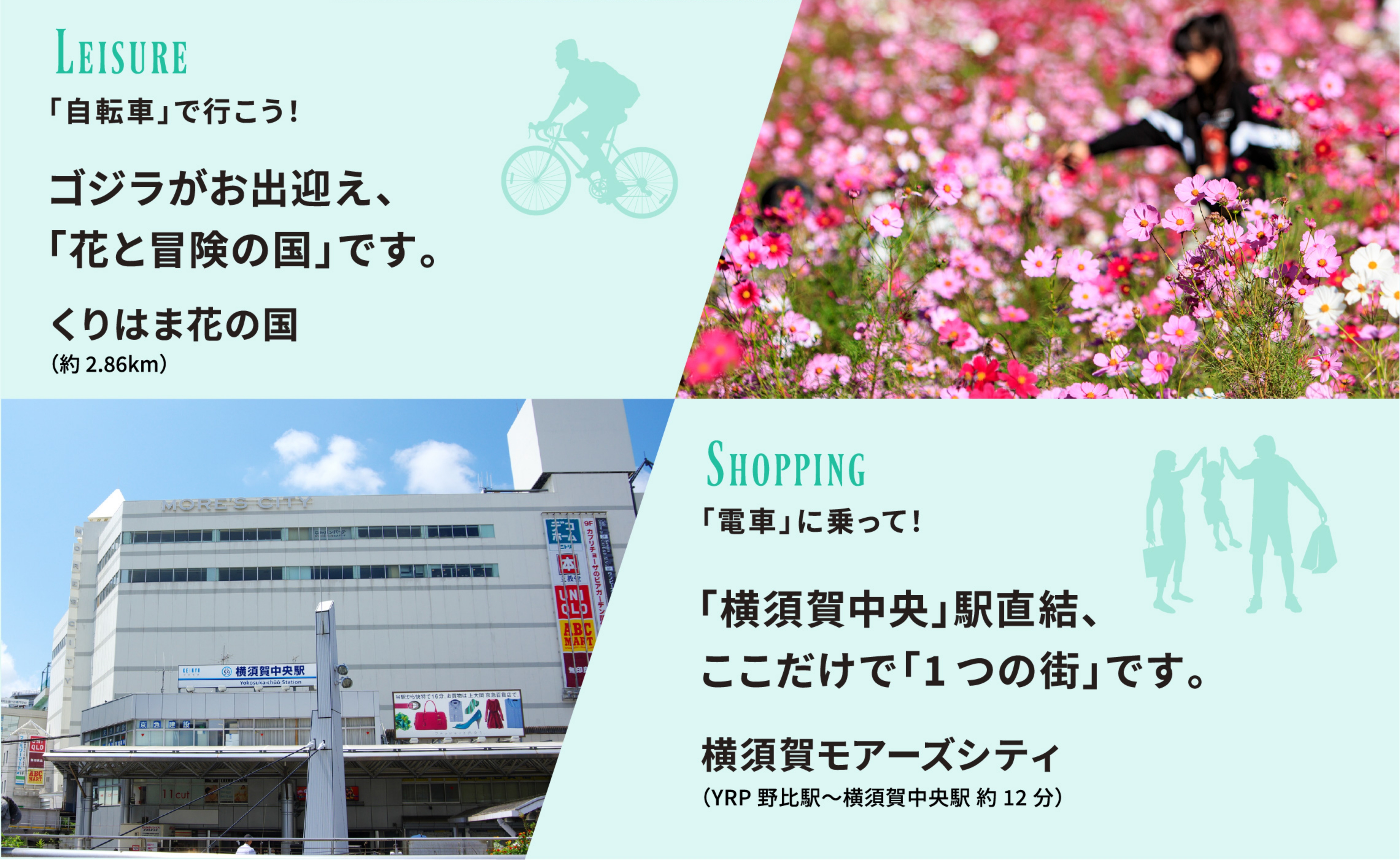 野比海岸・くりはま花の国横須賀モアーズシティの紹介図