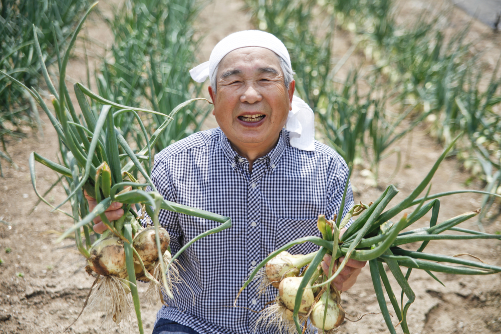日本でも1990年代から始まった貸し農園制度