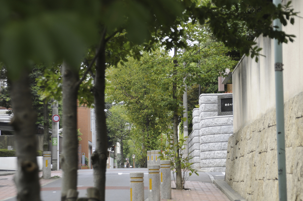 住みやすいと人気！　第一種低層住居専用地域とは