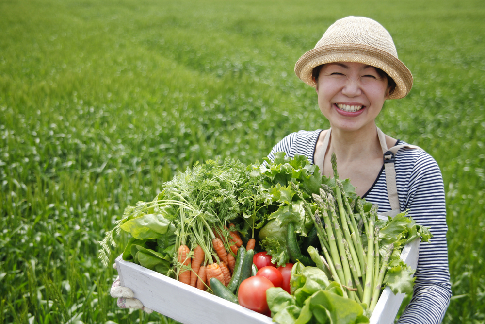 産地直送が魅力な直売所