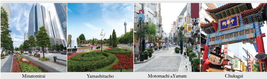 Minatomirai、Yamashitacho、Motomachi &Yamate、Chukagai