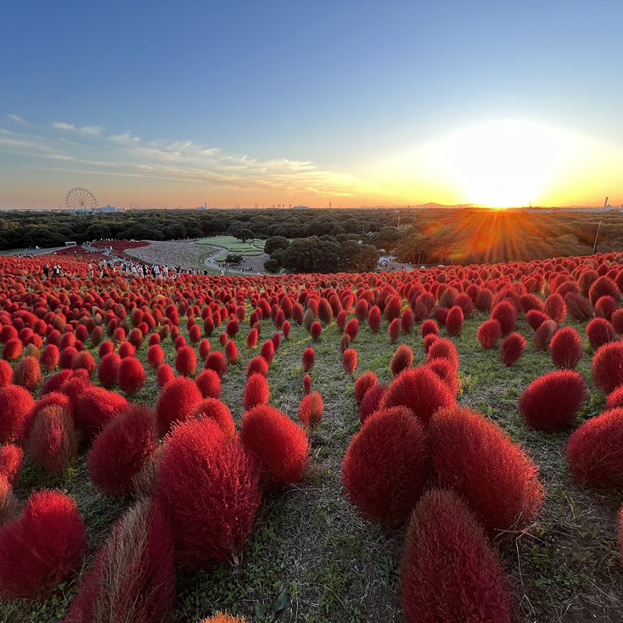 .小泉　尚也 . こいずみ なおや.