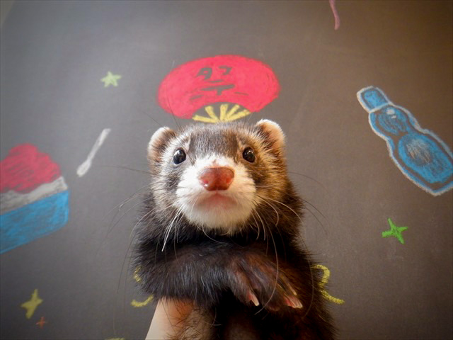 .小野田　侑 . おのだ ゆう.