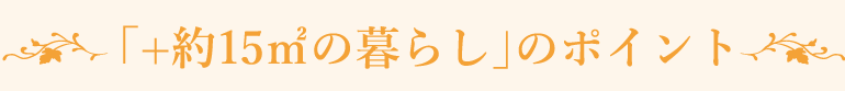 プラス「約15平米の暮らし」のポイント