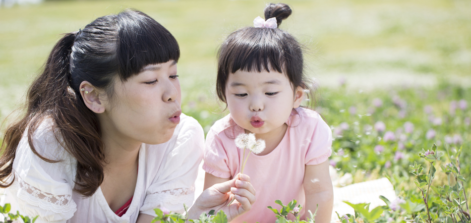 子連れで遊びに行こう！　相模原市役所さくら通り周辺の公園